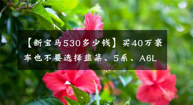 【新宝马530多少钱】买40万豪车也不要选择韭菜、5系、A6L、S90。