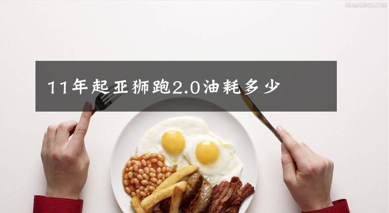 11年起亚狮跑2.0油耗多少