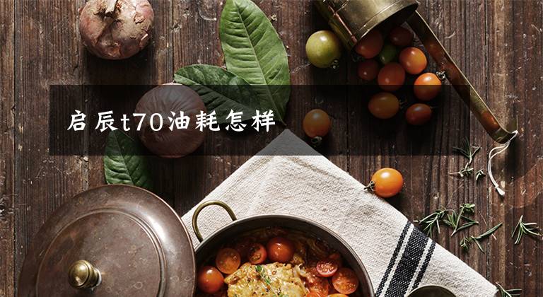 启辰t70油耗怎样