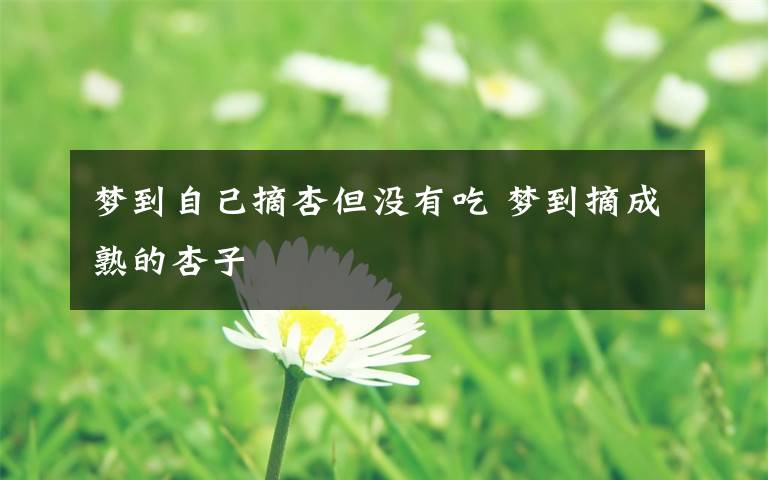 梦到自己摘杏但没有吃 梦到摘成熟的杏子