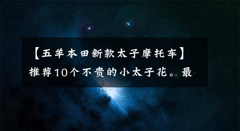 【五羊本田新款太子摩托车】推荐10个不贵的小太子花。最便宜的是5000