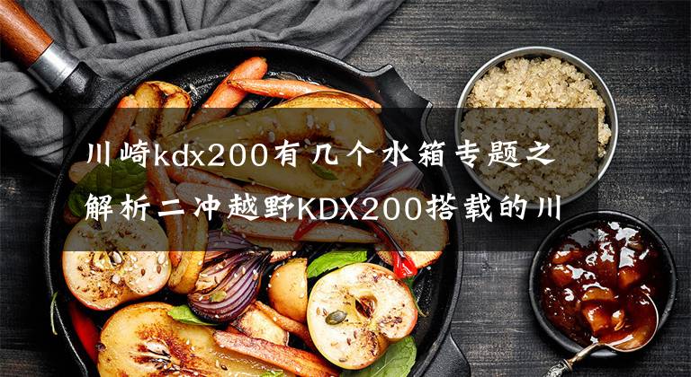 川崎kdx200有几个水箱专题之解析二冲越野KDX200搭载的川崎KIPS排气阀，多图呈现经典之作！