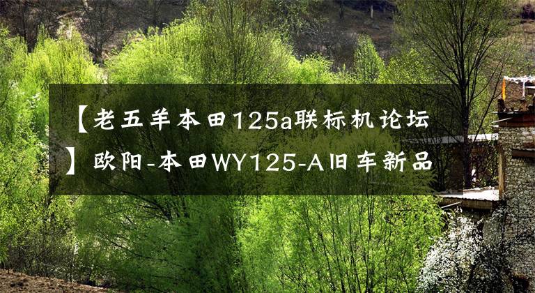 【老五羊本田125a联标机论坛】欧阳-本田WY125-A旧车新品