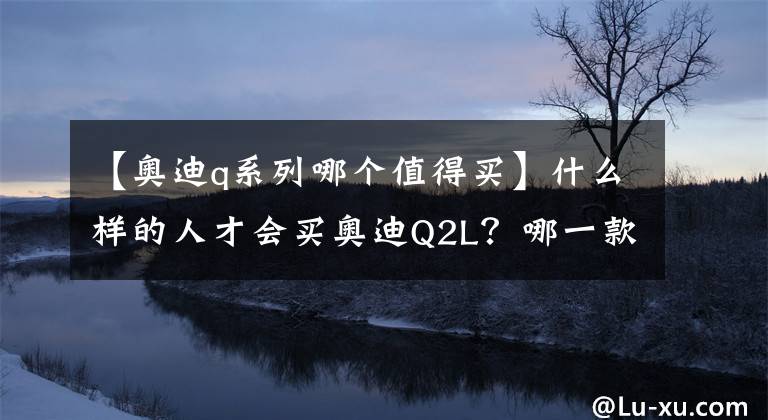 【奥迪q系列哪个值得买】什么样的人才会买奥迪Q2L？哪一款更值得买？