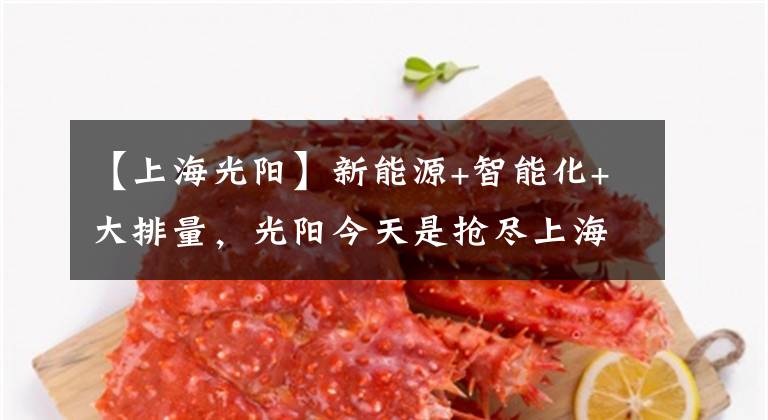【上海光阳】新能源+智能化+大排量,光阳今天是抢尽上海摩展的风头