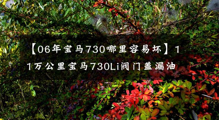 【06年宝马730哪里容易坏】11万公里宝马730Li阀门盖漏油，师傅说这个问题比较常见！
