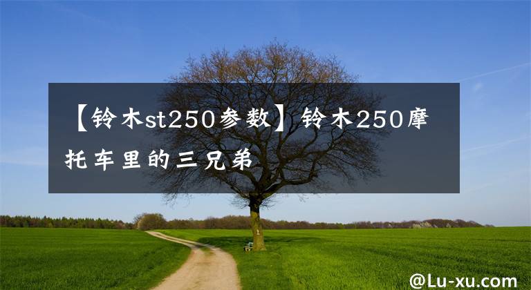【铃木st250参数】铃木250摩托车里的三兄弟