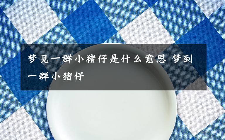梦见一群小猪仔是什么意思 梦到一群小猪仔
