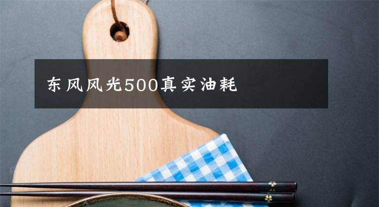 东风风光500真实油耗