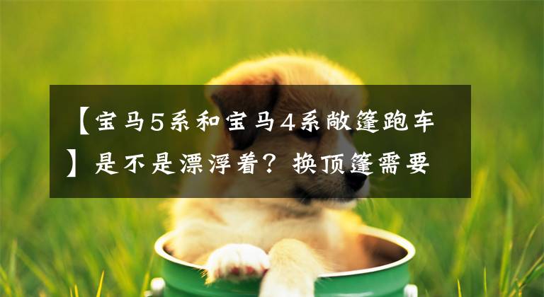 【宝马5系和宝马4系敞篷跑车】是不是漂浮着?换顶篷需要10万韩元吗?宝马4系列敞篷车真实车辆曝光