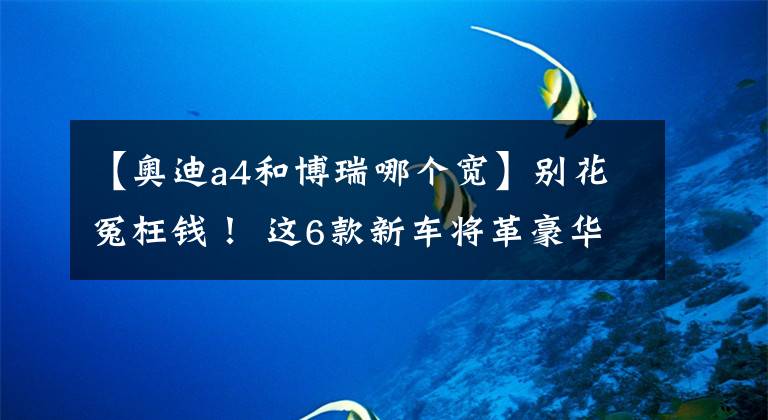 【奥迪a4和博瑞哪个宽】别花冤枉钱！ 这6款新车将革豪华车的命