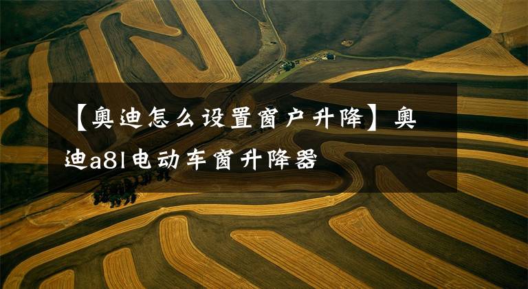 【奥迪怎么设置窗户升降】奥迪a8l电动车窗升降器