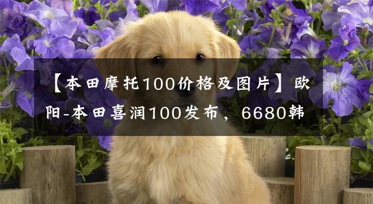 【本田摩托100价格及图片】欧阳-本田喜润100发布,6680韩元,生活美好