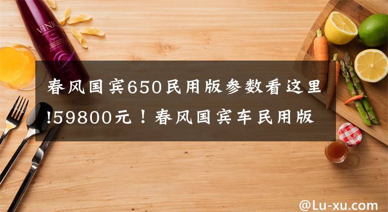 春风国宾650民用版参数看这里!59800元！春风国宾车民用版650TR-G售价公布