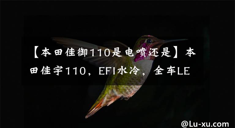 【本田佳御110是电喷还是】本田佳宇110,EFI水冷,全车LED灯,可长途旅行。