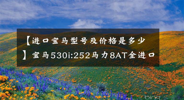 【进口宝马型号及价格是多少】宝马530i:252马力8AT全进口宝马，落地50万以上，有多少人喜欢？