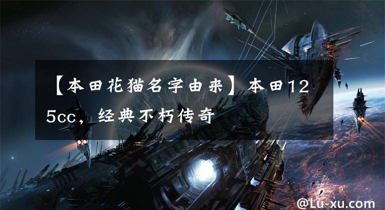 【本田花猫名字由来】本田125cc，经典不朽传奇