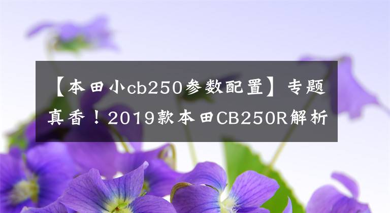【本田小cb250参数配置】专题真香!2019款本田CB250R解析