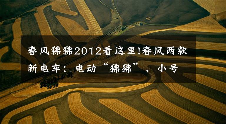 春风狒狒2012看这里!春风两款新电车:电动“狒狒”、小号“AE8”,售价或更低