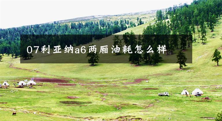 07利亚纳a6两厢油耗怎么样