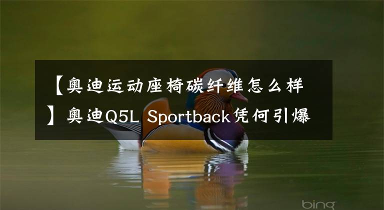 【奥迪运动座椅碳纤维怎么样】奥迪Q5L Sportback凭何引爆SUV市场?性能与实用性完美融合