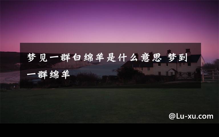 梦见一群白绵羊是什么意思 梦到一群绵羊