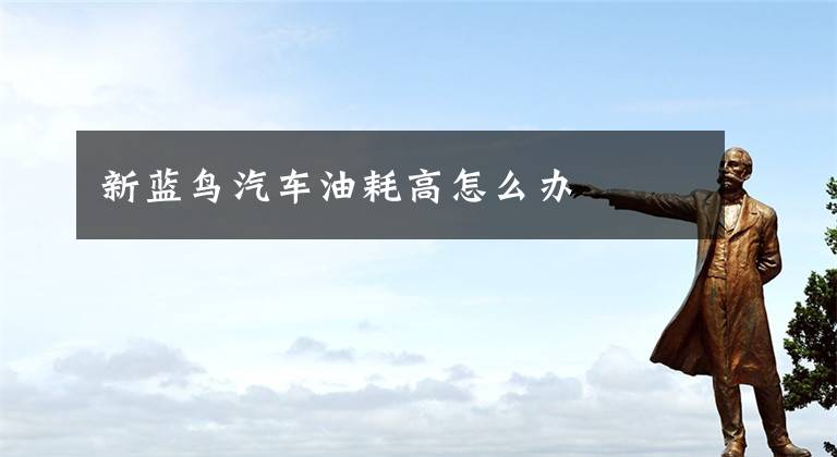 新蓝鸟汽车油耗高怎么办