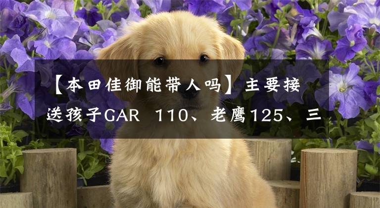 【本田佳御能带人吗】主要接送孩子GAR 110、老鹰125、三阳FNX 150,怎么选?