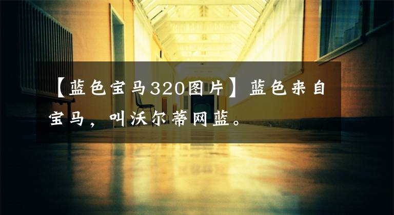 【蓝色宝马320图片】蓝色来自宝马,叫沃尔蒂网蓝。