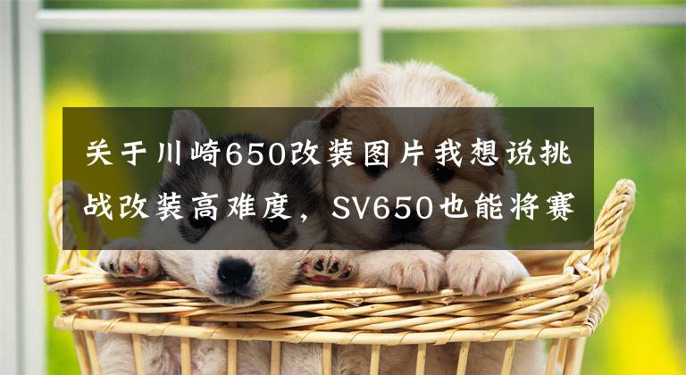 关于川崎650改装图片我想说挑战改装高难度,SV650也能将赛车美学发挥到极致