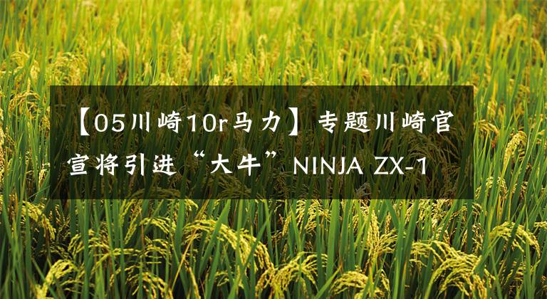 【05川崎10r马力】专题川崎官宣将引进“大牛”NINJA ZX-10R,最高可达213匹马力