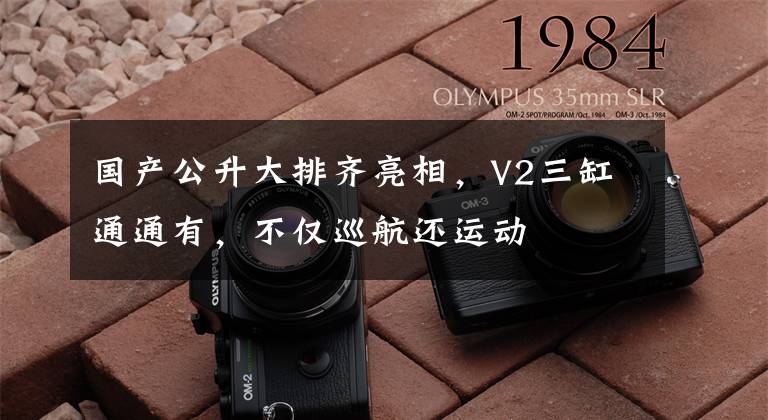 国产公升大排齐亮相,V2三缸通通有,不仅巡航还运动
