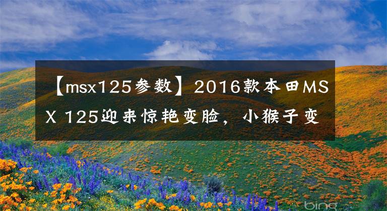 【msx125参数】2016款本田MSX 125迎来惊艳变脸,小猴子变身街头霸王
