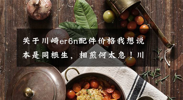 关于川崎er6n配件价格我想说本是同根生,相煎何太急!川崎摩托选车故事
