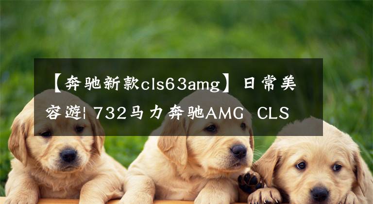 【奔驰新款cls63amg】日常美容游| 732马力奔驰AMG  CLS  63改装旅行版