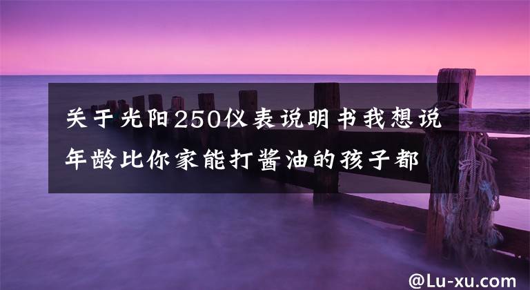 关于光阳250仪表说明书我想说年龄比你家能打酱油的孩子都大的赛艇250终于要改款了