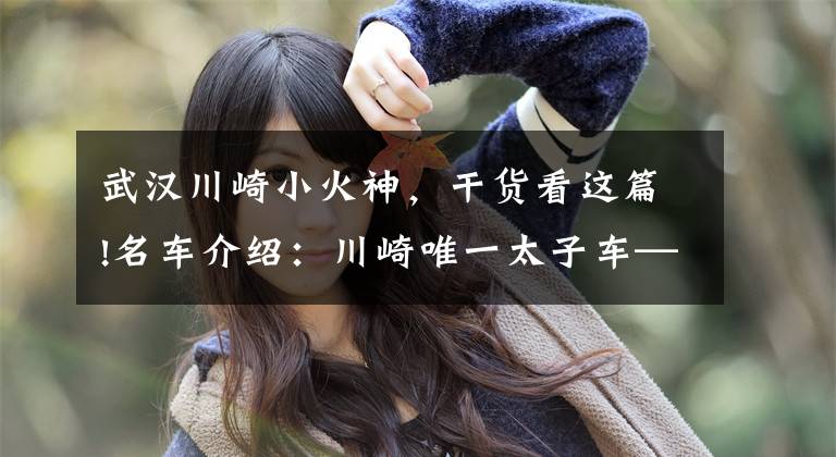 武汉川崎小火神,干货看这篇!名车介绍:川崎唯一太子车——小火神650,巡航运动两不误