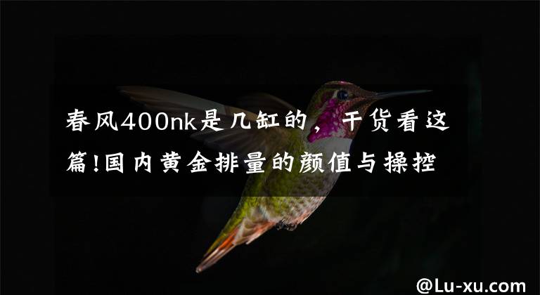 春风400nk是几缸的，干货看这篇!国内黄金排量的颜值与操控担当-春风400NK使用1年体验