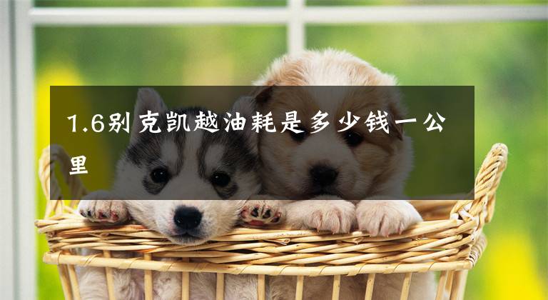 1.6别克凯越油耗是多少钱一公里