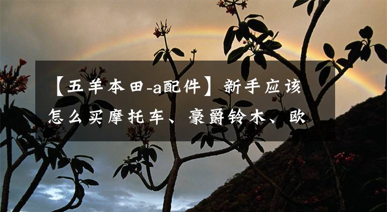 【五羊本田-a配件】新手应该怎么买摩托车、豪爵铃木、欧阳本田？这十个车主给了你答案