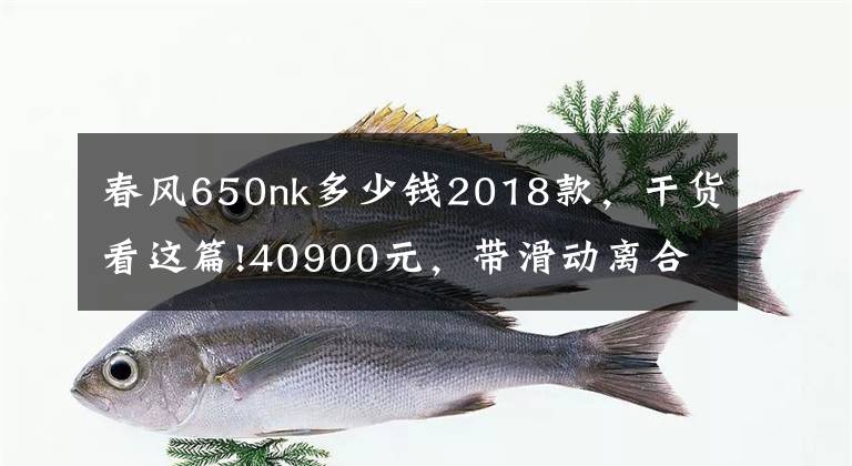 春风650nk多少钱2018款，干货看这篇!40900元，带滑动离合，春风650NK小升级改款来了