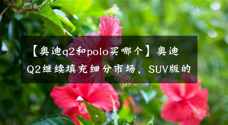 【奥迪q2和polo买哪个】奥迪Q2继续填充细分市场，SUV版的POLO你觉得怎样