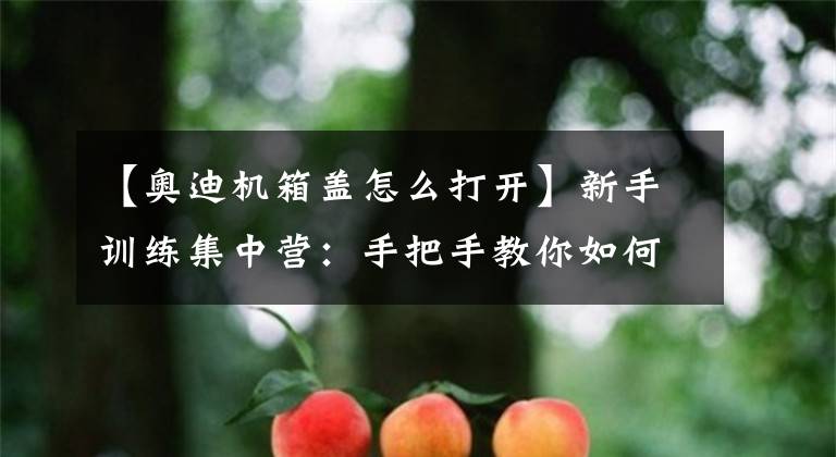 【奥迪机箱盖怎么打开】新手训练集中营：手把手教你如何打开发动机盖