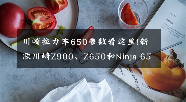 川崎拉力车650参数看这里!新款川崎Z900、Z650和Ninja 650国内正式发布
