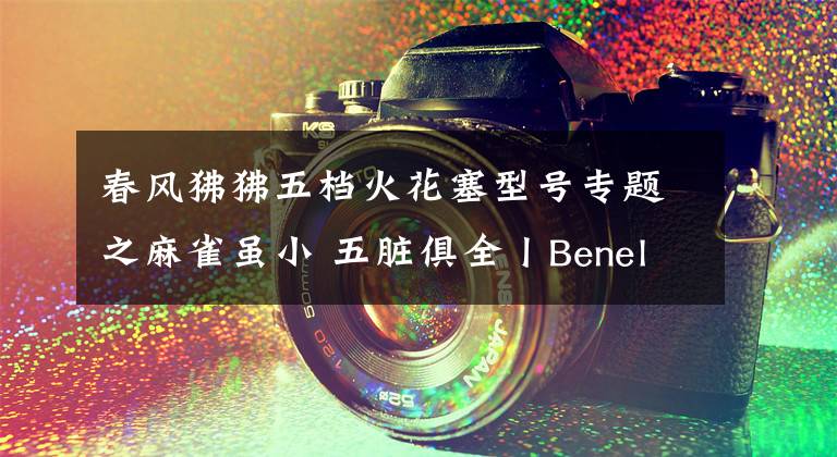 春风狒狒五档火花塞型号专题之麻雀虽小 五脏俱全丨Benelli “小暴龙125”