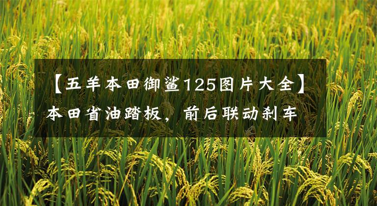 【五羊本田御鲨125图片大全】本田省油踏板，前后联动刹车，不到1万韩元，小菜大宝实用