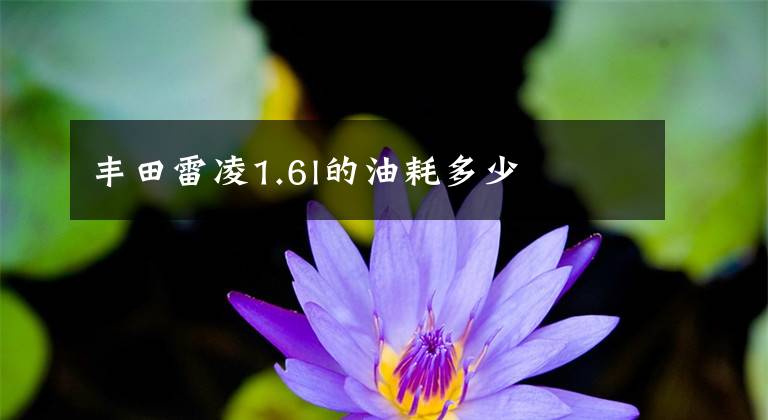 丰田雷凌1.6l的油耗多少