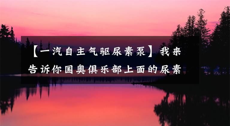 【一汽自主气驱尿素泵】我来告诉你国奥俱乐部上面的尿素泵的情况。其实很简单,但很值钱。