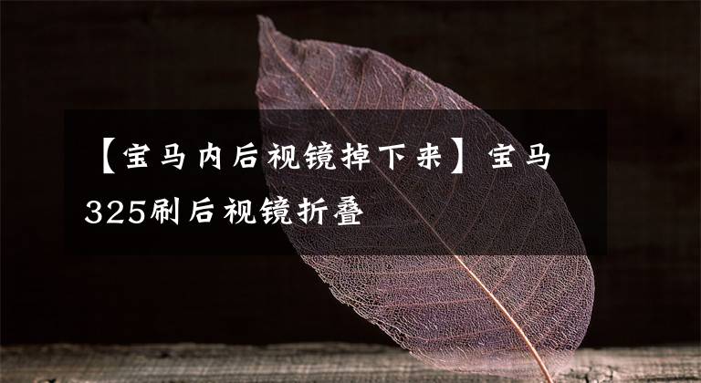 【宝马内后视镜掉下来】宝马325刷后视镜折叠