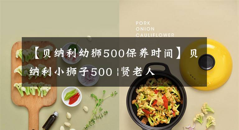 【贝纳利幼狮500保养时间】贝纳利小狮子500 |贤老人